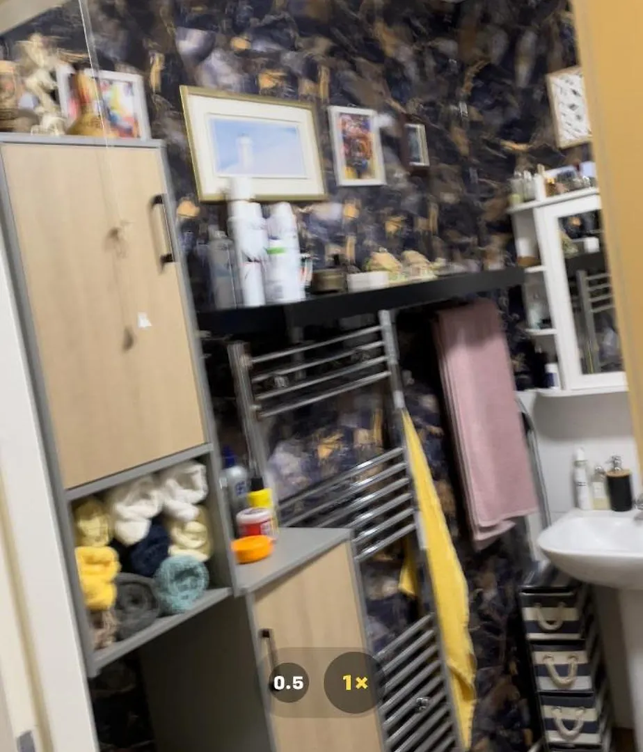 Room In Zone 2 London Apartment